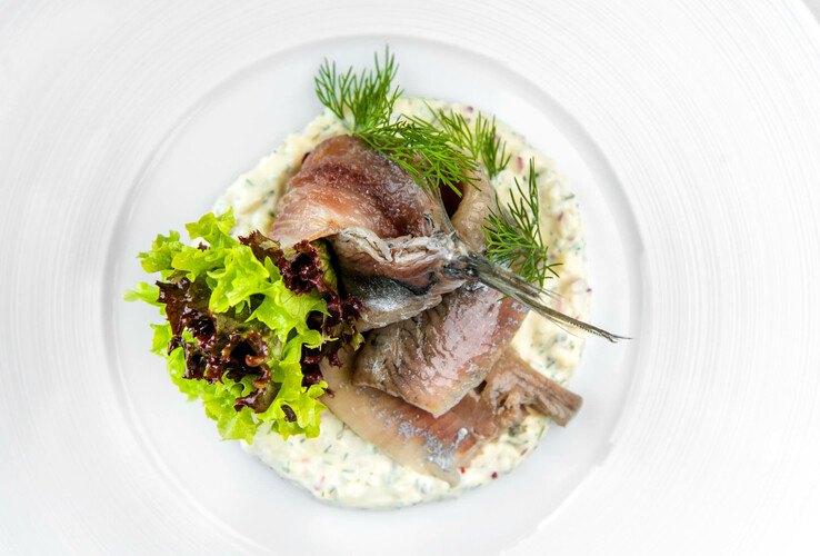 Hering auf Dill-Sahnesoße, garniert mit frischem Salat und Dillzweigen auf einem weißen Teller.