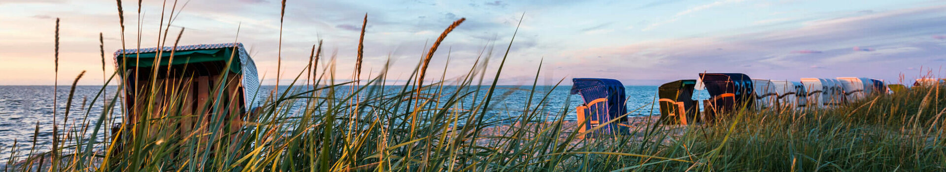 Auszeit am Meer | ATLANTIC Hotel Wilhelmshaven Strandkörbe am Meer bei Sonnenuntergang, umgeben von hohen Gräsern, blauer Himmel im Hintergrund.