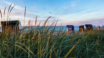 Strandkörbe am Meer bei Sonnenuntergang, umgeben von hohen Gräsern, blauer Himmel im Hintergrund.