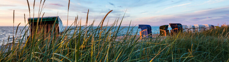 Strandkörbe am Meer bei Sonnenuntergang, umgeben von hohen Gräsern, blauer Himmel im Hintergrund.