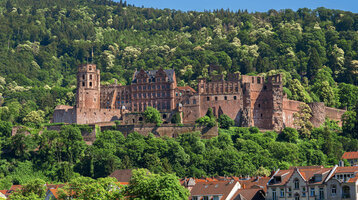 Historisches Schloss auf bewaldetem Hügel, umgeben von grünen Bäumen, mit Blick auf Dächer einer Stadt.
