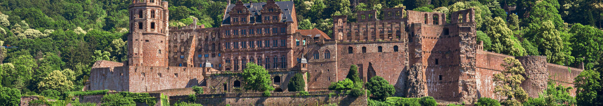 Heidelberger Schloss Historisches Schloss auf bewaldetem Hügel, umgeben von grünen Bäumen, mit Blick auf Dächer einer Stadt.