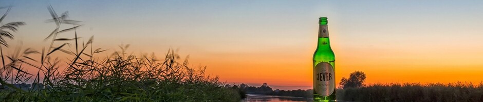 Grüne Bierflasche auf Holzpfosten vor Sonnenuntergang an einem ruhigen Fluss, umgeben von Schilf.