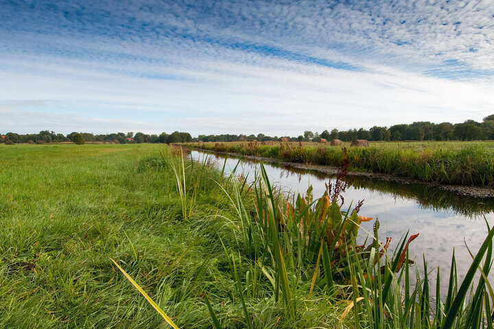 Grüne Wiese mit schmalem Fluss unter blauem Himmel, umgeben von Bäumen und Heuballen.