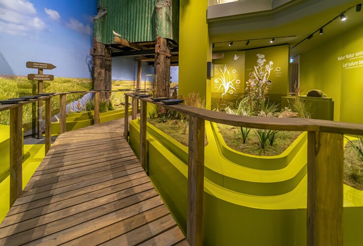 Holzsteg mit Geländer führt durch grüne, naturgetreue Ausstellung im ATLANTIC Hotel Wilhelmshaven.