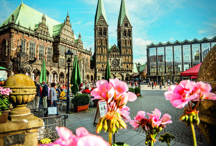 Blick auf Bremer Marktplatz mit Dom und Rathaus, umrahmt von rosa Blumen im Vordergrund.