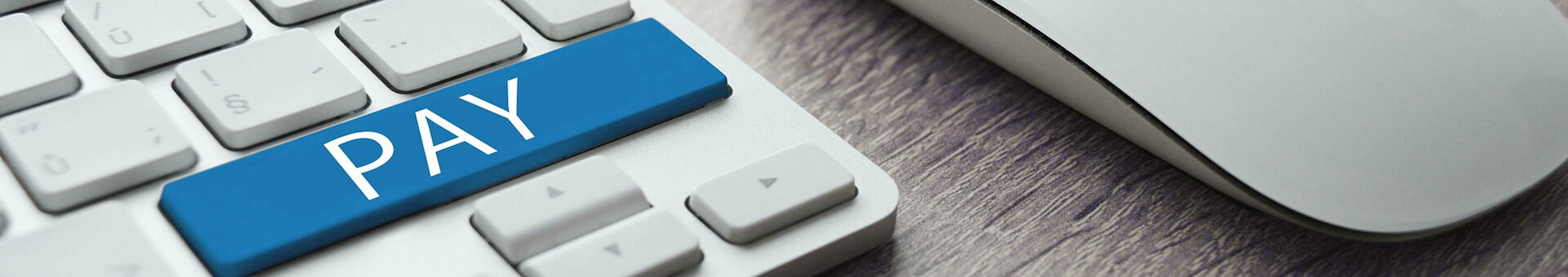 Keyboard with blue "Pay" button and mouse on wooden surface.