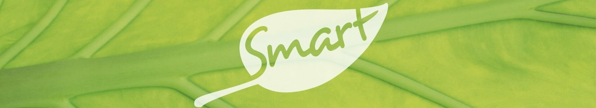 SMART meetings & events logo SMART meetings & celebrations Logo