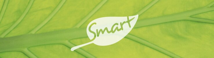 SMART meetings & events logo SMART meetings & celebrations Logo