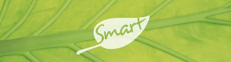 SMART tagen & feiern Logo