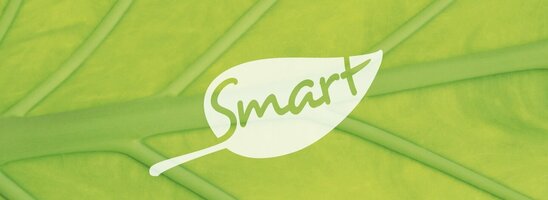 SMART tagen & feiern Logo