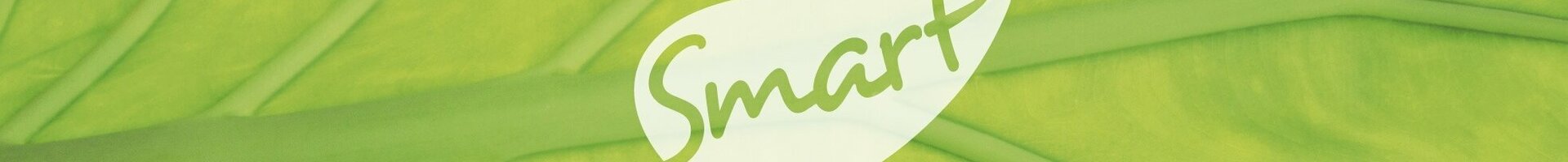 SMART tagen & feiern Logo