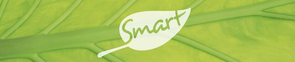 SMART meetings & celebrations Logo