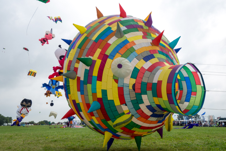 Bunte Drachen in verschiedenen Formen und Farben fliegen über einer grünen Wiese bei bewölktem Himmel.