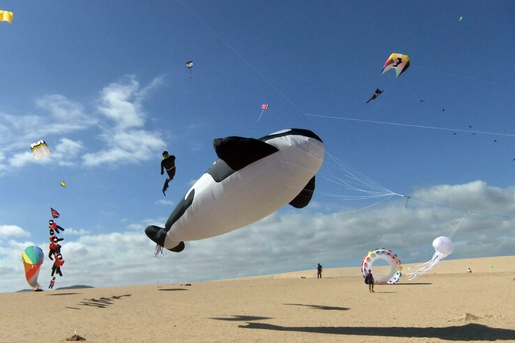 Große Drachen in Tierform schweben am Strand unter blauem Himmel. Ideal für einen Strandtag in Travemünde.
