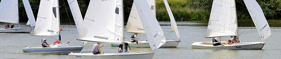 Segelboote auf einem See vor einer grünen Waldkulisse, bei sonnigem Wetter.