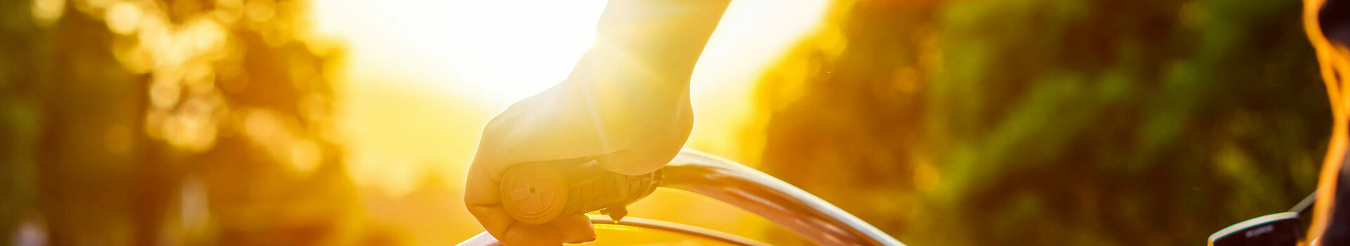 Radwege in Bremen und Umgebung l ATLANTIC Hotels in Bremen Person hält Fahrradlenker bei Sonnenuntergang, entlang eines Flusses mit grünen Bäumen im Hintergrund.