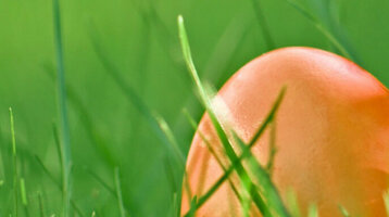 Drei Ostereier in orange, pink und gelb liegen im Gras. 