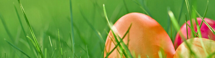 Drei Ostereier in orange, pink und gelb liegen im Gras. 