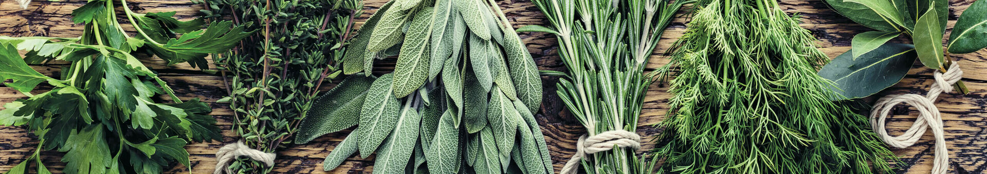 Frische Kräuterbündel auf rustikalem Holztisch, symbolisieren natürliche Zutaten im ATLANTIC Hotel Universum Bremen.