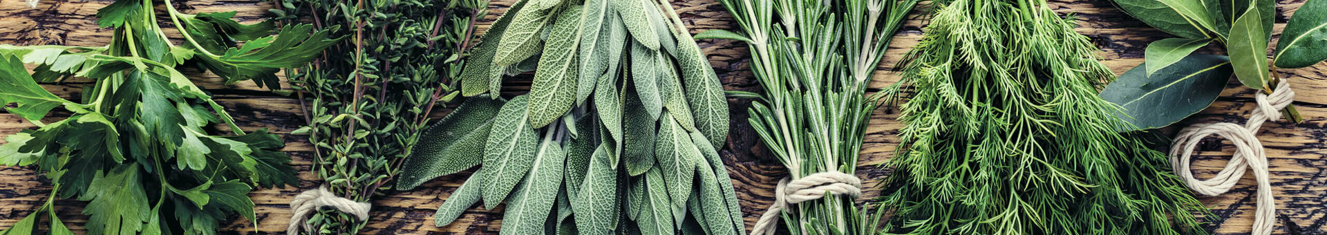 Fresh bundles of herbs on a rustic wooden table symbolize natural ingredients at the ATLANTIC Hotel Universum Bremen.