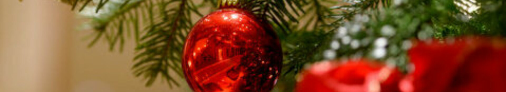 Roter Weihnachtsbaumschmuck und Schleifen an einem grünen Tannenzweig, festlich dekoriert.