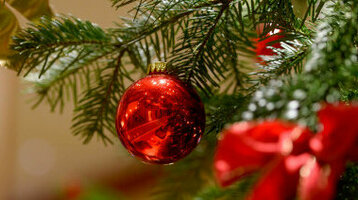 Roter Weihnachtsbaumschmuck und Schleifen an einem grünen Tannenzweig, festlich dekoriert.