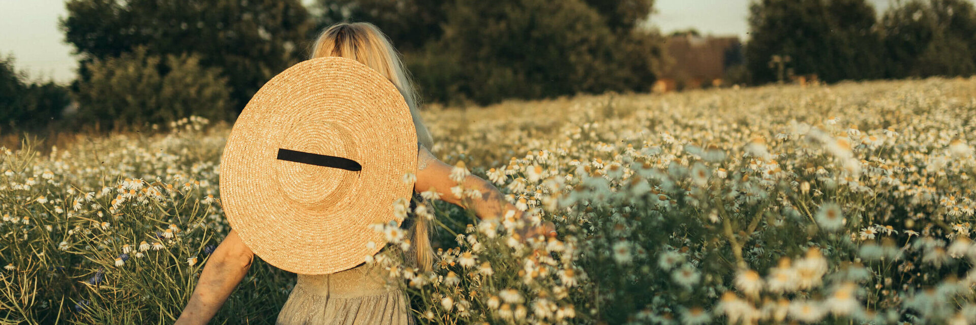 Person mit Strohhut im blühenden Feld, umgeben von Gänseblümchen, bei Sonnenuntergang.