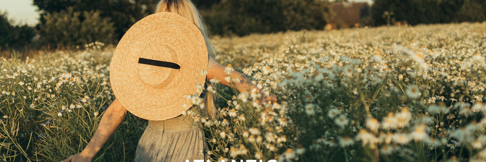 Person mit Strohhut im blühenden Feld, umgeben von Gänseblümchen, bei Sonnenuntergang.