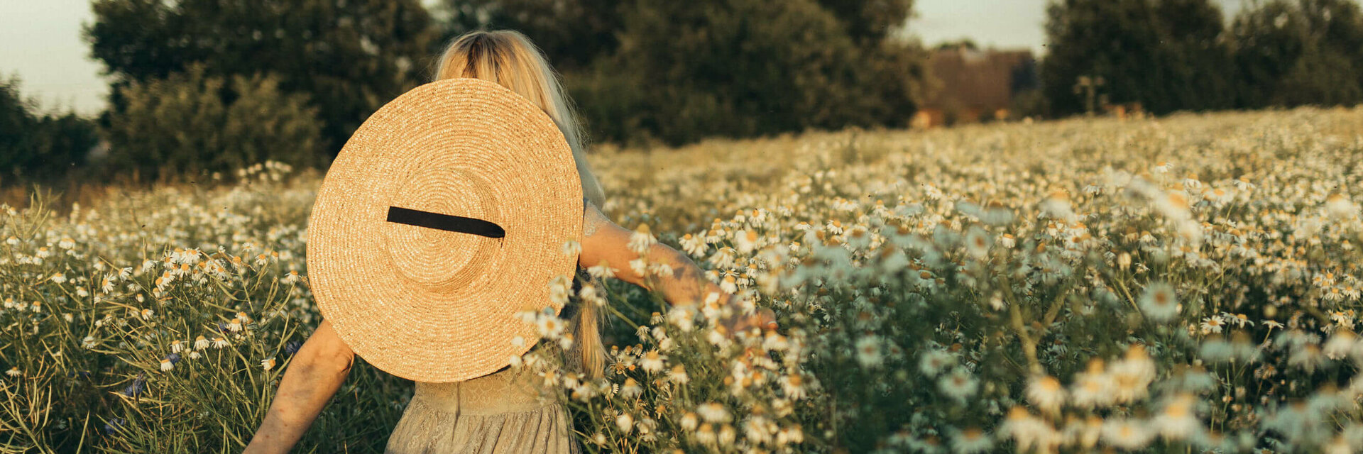 Person with straw hat in a flowering field, surrounded by daisies, at sunset.