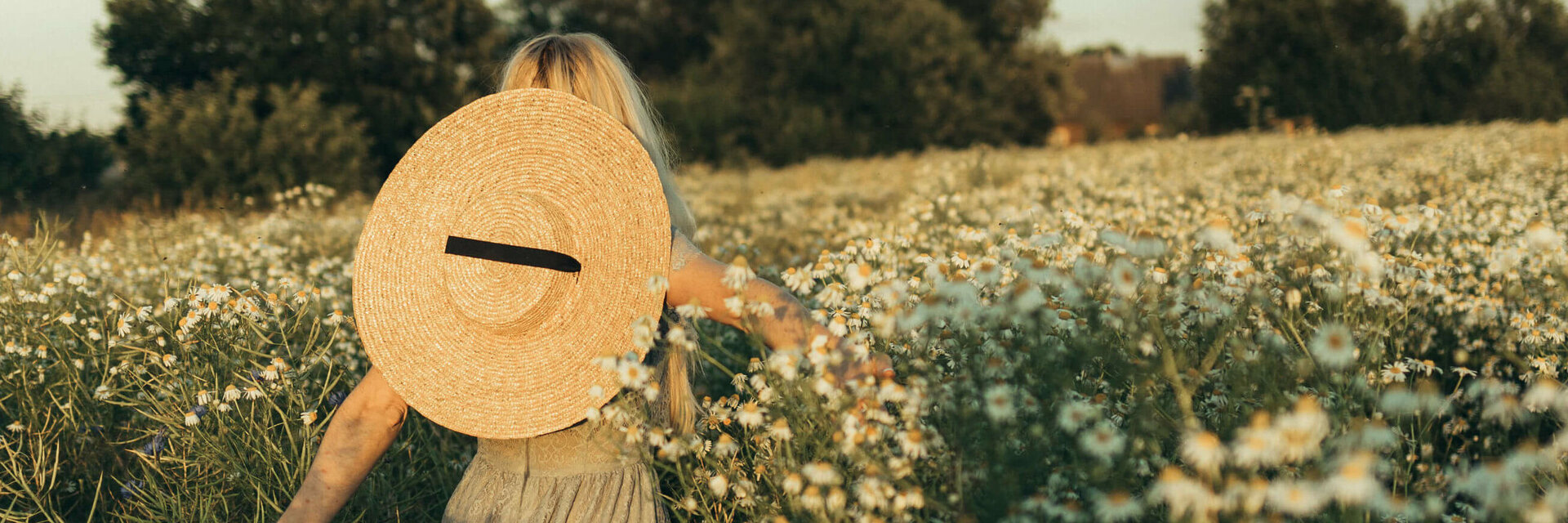 Person mit Strohhut im blühenden Feld, umgeben von Gänseblümchen, bei Sonnenuntergang.