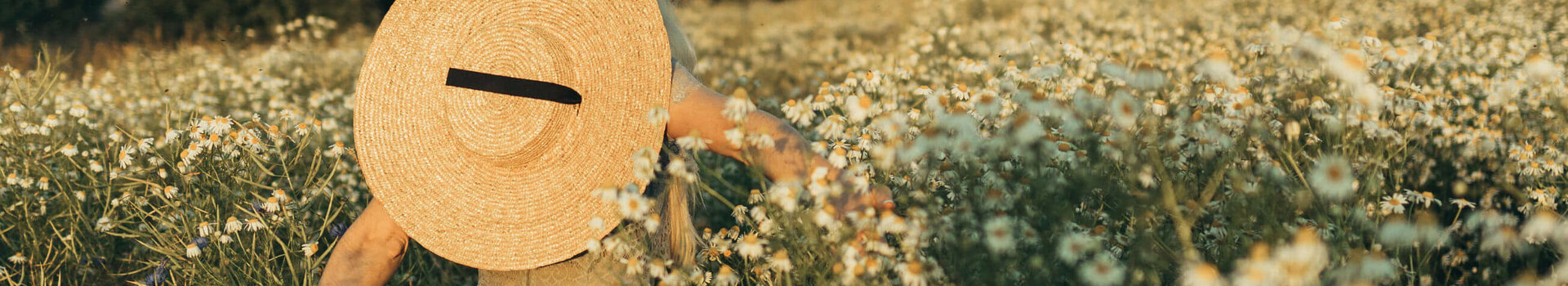 ATLANTIC Hotels Special Rate | Moments Person with straw hat in a flowering field, surrounded by daisies, at sunset.
