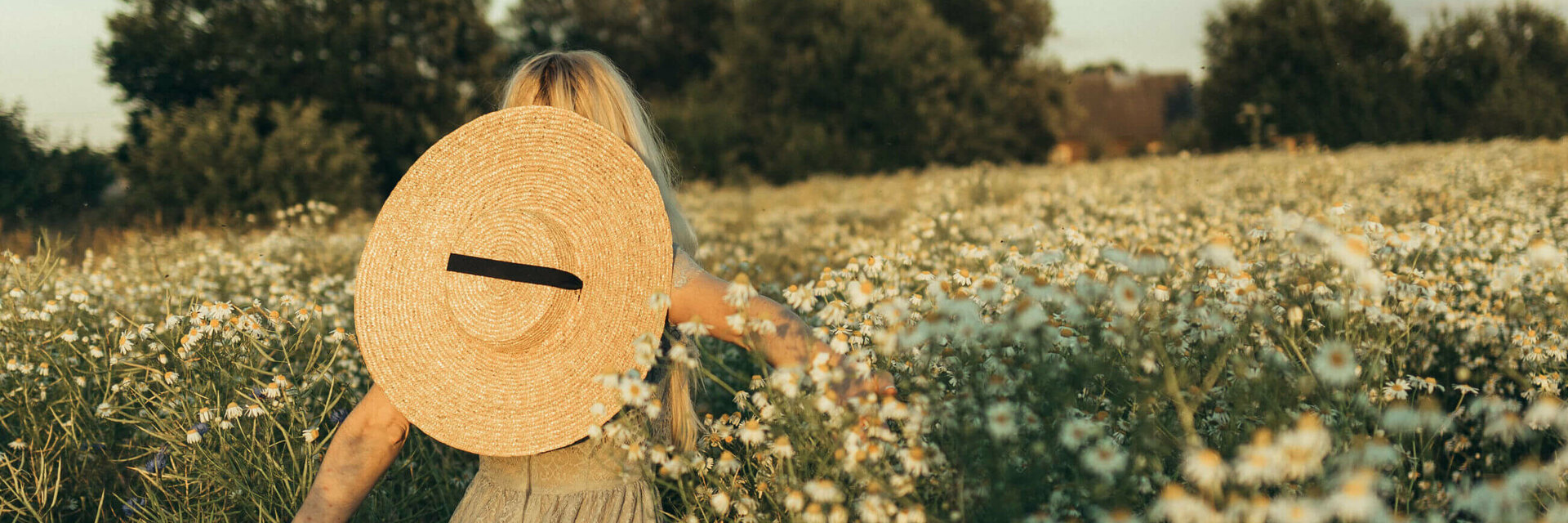 Person mit Strohhut im blühenden Feld, umgeben von Gänseblümchen, bei Sonnenuntergang.
