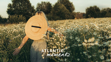 Person mit Strohhut im blühenden Feld, umgeben von Gänseblümchen, bei Sonnenuntergang.