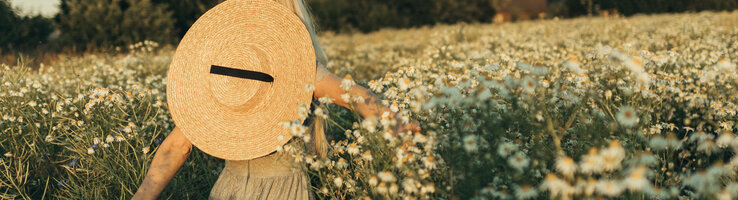 Person with straw hat in a flowering field, surrounded by daisies, at sunset.