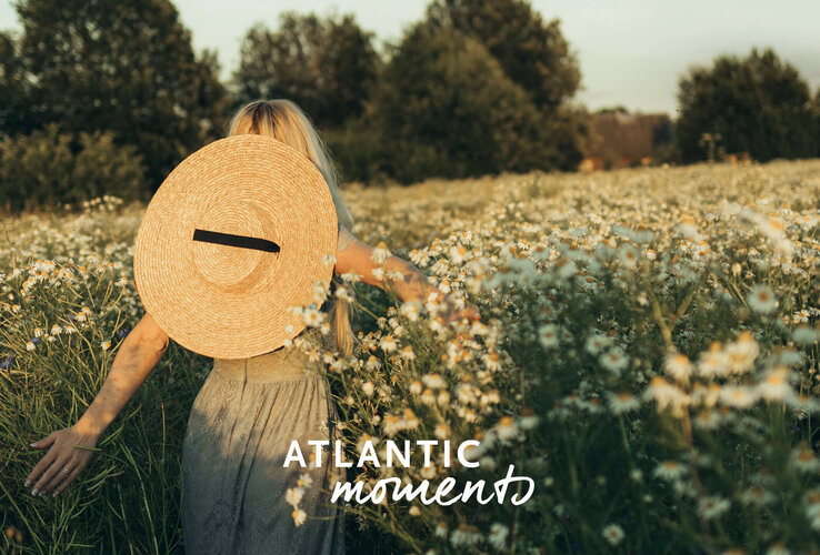 Person mit Strohhut im blühenden Feld, umgeben von Gänseblümchen, bei Sonnenuntergang.