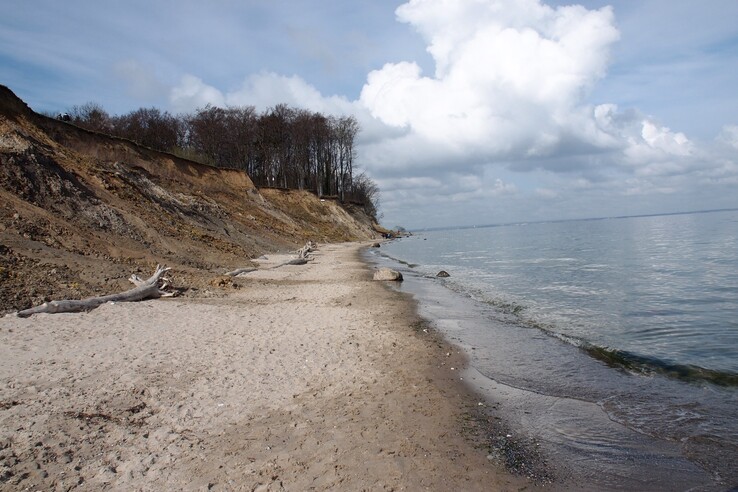 Sandstrand an der Ostsee mit Klippen und Bäumen im Hintergrund unter einem bewölkten Himmel.