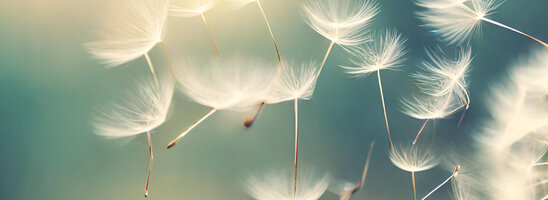 Nahaufnahme von Pusteblumen, die vom Wind verweht werden, vor einem verschwommenen, blauen Hintergrund.