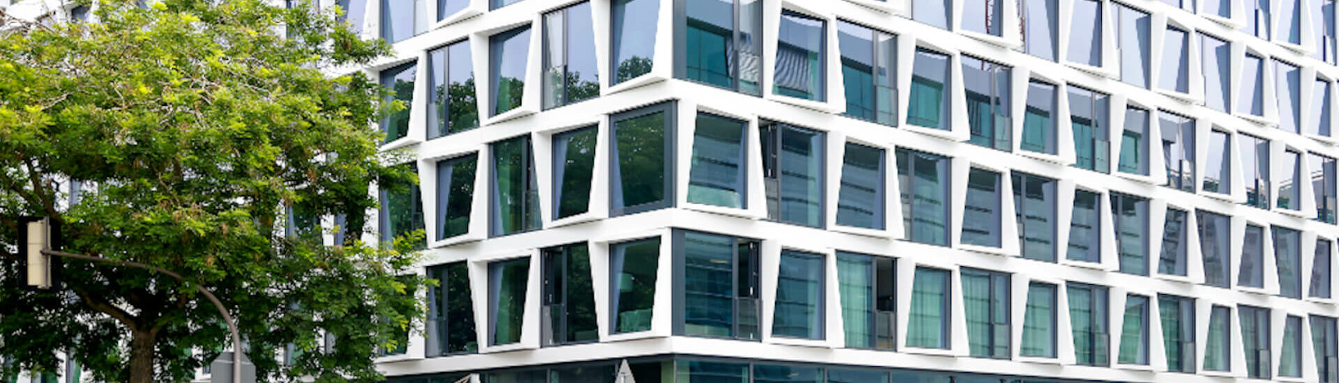 Modern hotel façade with large, irregularly arranged windows and a tree in the foreground.