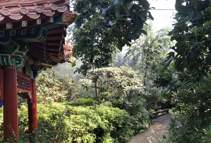 Traditioneller Pavillon neben einem üppigen, grünen Gartenweg mit Blumen und Bänken.