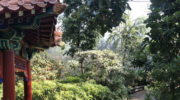 Traditioneller Pavillon neben einem üppigen, grünen Gartenweg mit Blumen und Bänken.