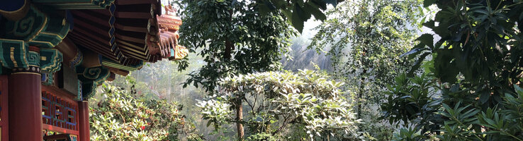 Traditioneller Pavillon neben einem üppigen, grünen Gartenweg mit Blumen und Bänken.