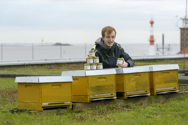 A young man sits behind four beehives in the shape of a box. There are 6 jars of honey on a box. The sea can be seen in the background.