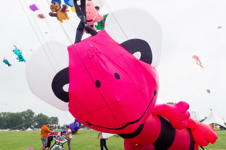 Großer, bunter Drachen in Form eines Insekts auf einer Wiese, umgeben von Menschen und weiteren Drachen am Himmel.