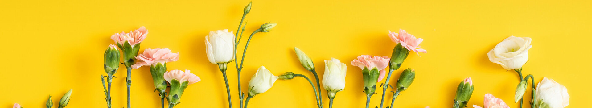 A flower selection of white, purple and babypink flowers in front of a yellow backdrop.