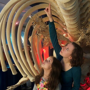 Two children look at a large whale skeleton in a museum, one person points upwards with interest.