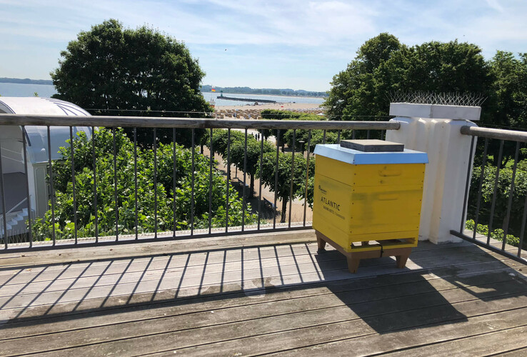 Yellow beehive on a wooden terrace with a view of trees and the sea in the background.