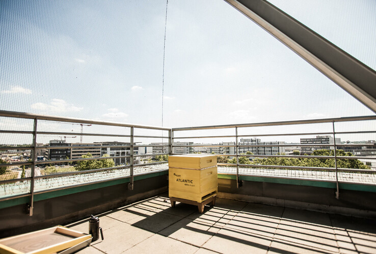 Roof terrace of the ATLANTIC Hotel Airport with a view of the building and sky, railing and wooden box in the foreground.