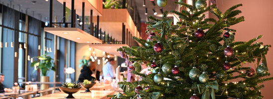 Ein Weihnachtsbaum in der Lobby des ATLANTIC Hotel Heidelberg