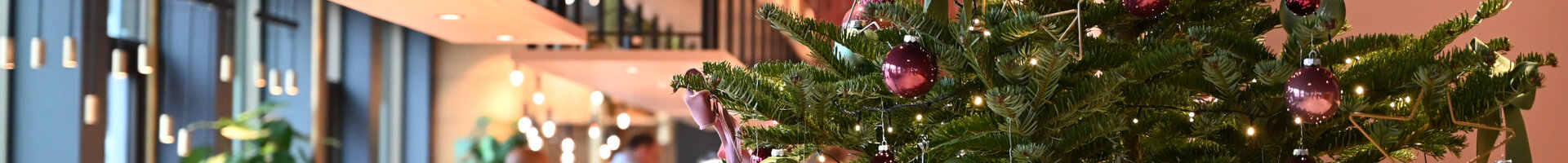 A Christmas Tree in the Lobby of the ATLANTIC Hotel Heidelberg